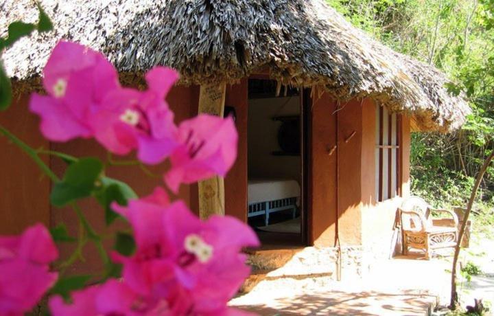 Hotel Bahia De La Luna Arroyo Cruz Exterior foto